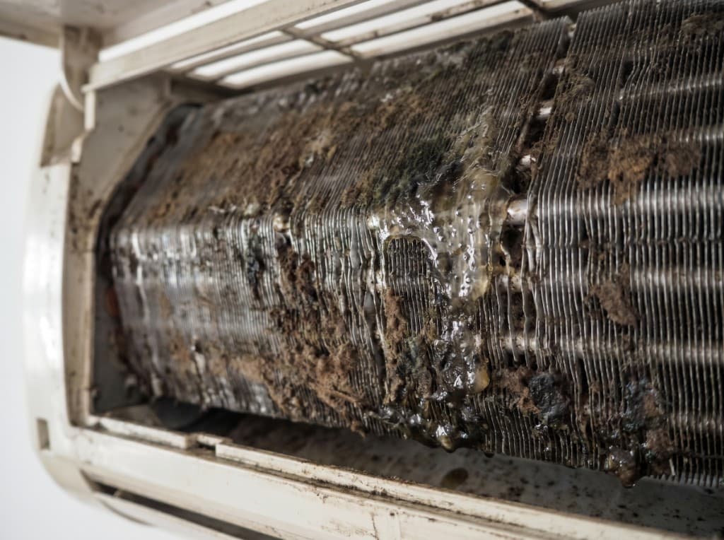 Dirty AC evaporator before cleaning